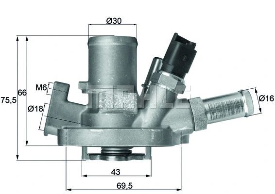 Thermostat, coolant (WG1217600)