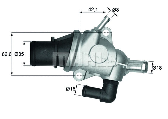 Thermostat, coolant (WG1217575)