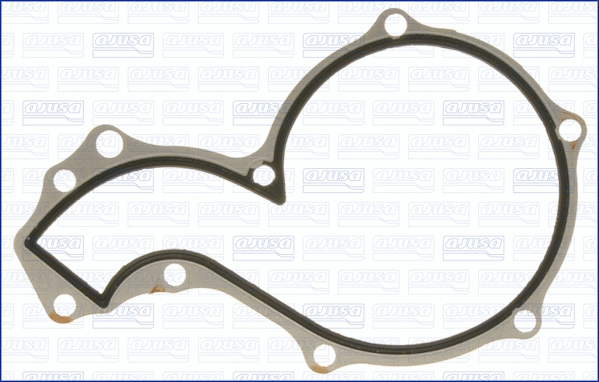 Gasket, water pump (WG1751178)