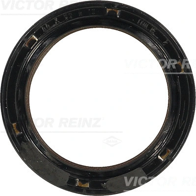 Shaft Seal, camshaft (WG1250036)