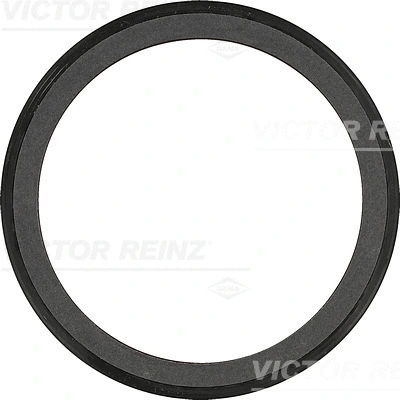Shaft Seal, crankshaft (WG1250274)