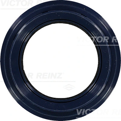 Shaft Seal, crankshaft (WG1250499)