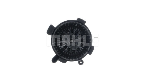 Interior Blower