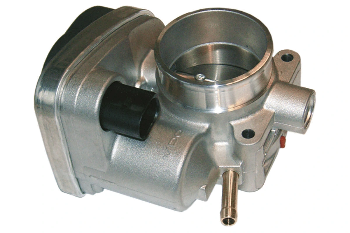 Throttle Body (WG1032743)