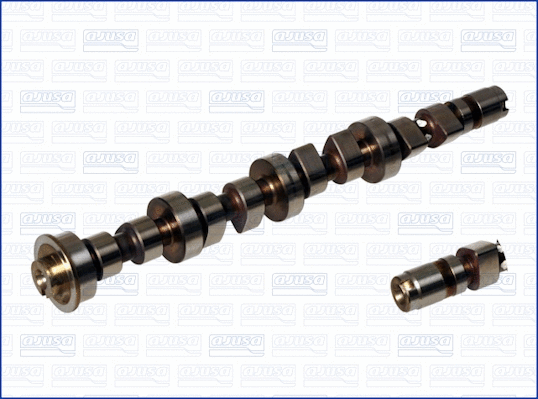 Camshaft (WG1171053)