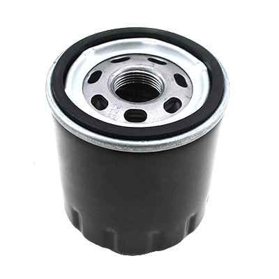 Oil Filter (WG1989907)