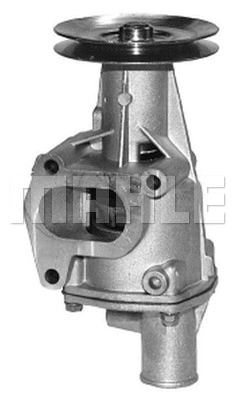Water Pump, engine cooling (WG2181728)