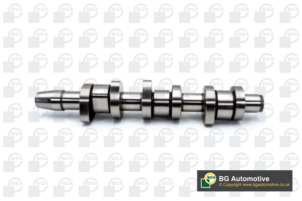 Camshaft (WG1490379)