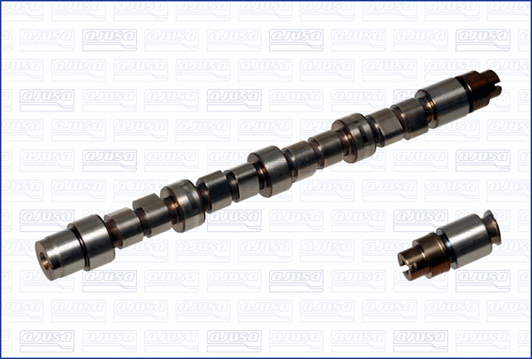 Camshaft (WG1171510)