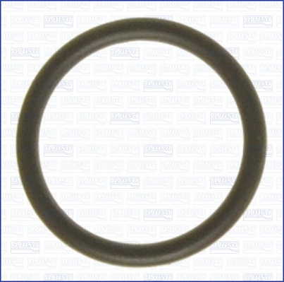 Gasket, thermostat housing (WG2081546)