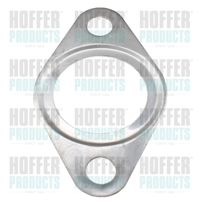 Gasket, EGR valve (WG2262124)