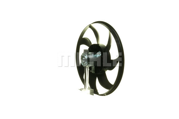Fan, engine cooling (WG2180513)