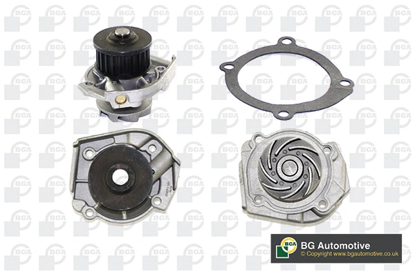 Water Pump, engine cooling (WG1489127)
