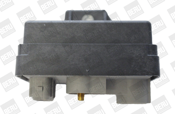 Control Unit, glow time (WG1756278)