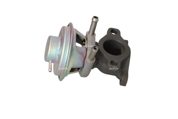 EGR Valve (WG2161865)