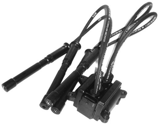 Ignition Coil (WG1012248)