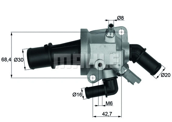 Thermostat, coolant (WG1217602)
