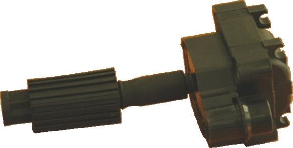 Ignition Coil (WG1012313)
