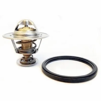 Thermostat, coolant (WG1409546)