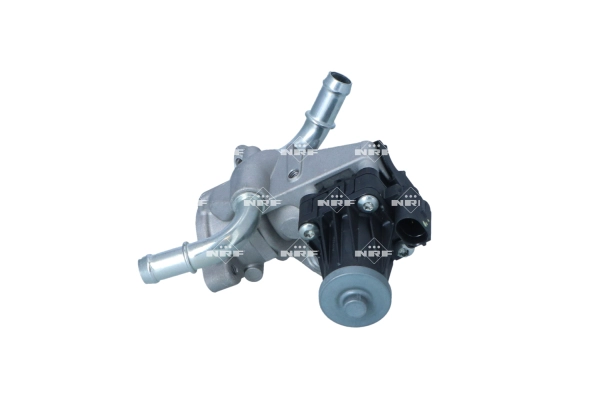 EGR Valve (WG2204517)