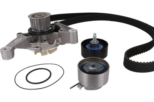 Water Pump & Timing Belt Kit (WG2261607)