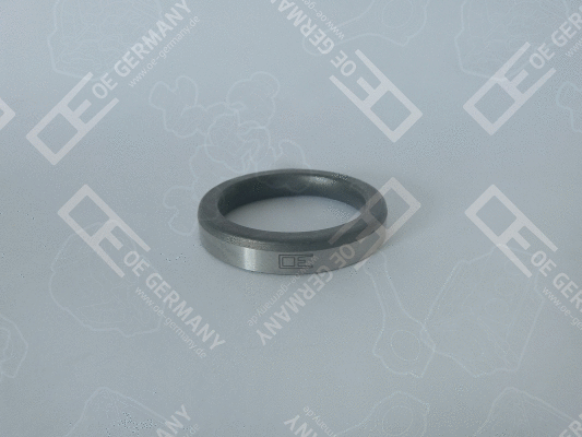 Valve Seat (WG2102560)