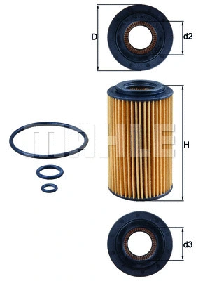 Oil Filter (WG1217289)