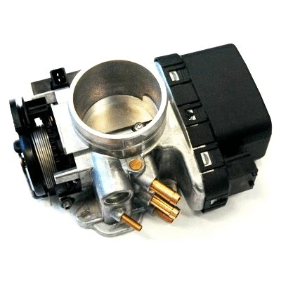 Throttle Body (WG1013570)