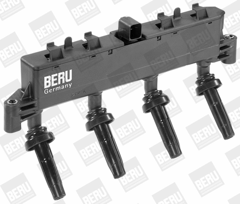 Ignition Coil (WG1487555)