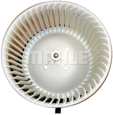 Interior Blower