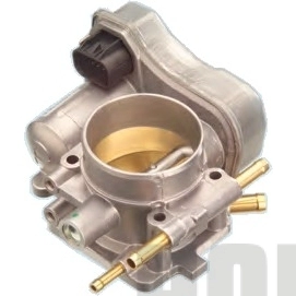 Throttle Body (WG1965248)