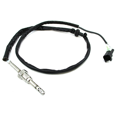 Sensor, exhaust gas temperature (WG1903764)