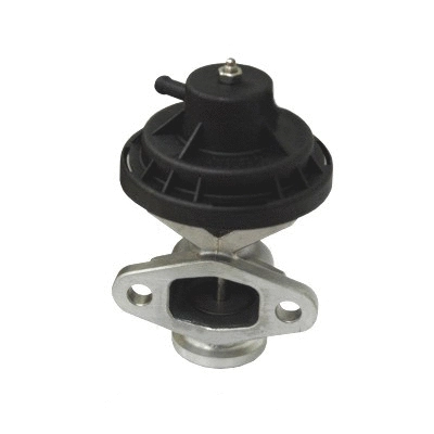 EGR Valve (WG2136466)