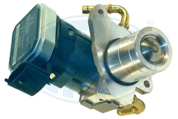 EGR Valve (WG1494482)