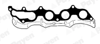 Gasket, exhaust manifold (WG1182183)