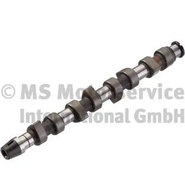 Camshaft (WG1017564)