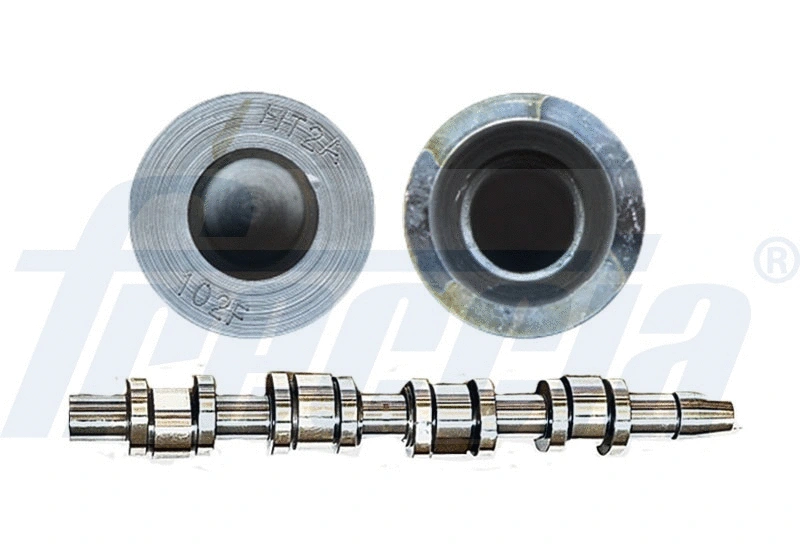 Camshaft (WG1155395)
