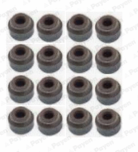 Seal Set, valve stem (WG1181287)