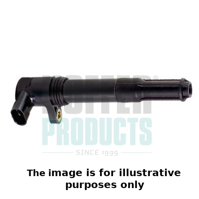 Ignition Coil (WG1905302)
