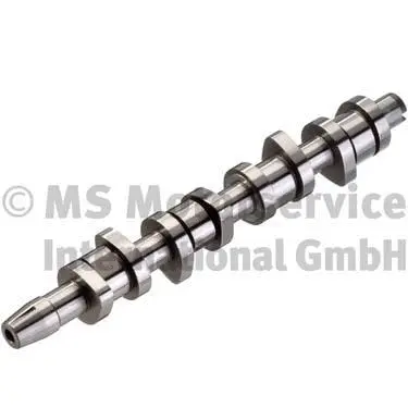 Camshaft (WG1017665)