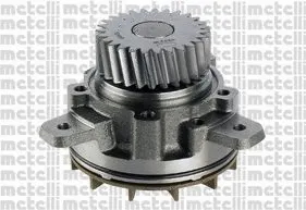 Water Pump, engine cooling (WG1790786)