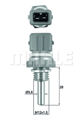 Sensor, coolant temperature (WG1789662)
