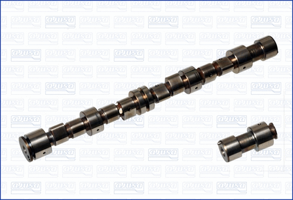 Camshaft (WG1170860)