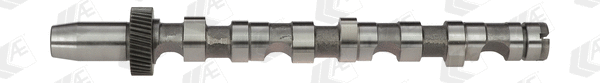 Camshaft (WG1093066)