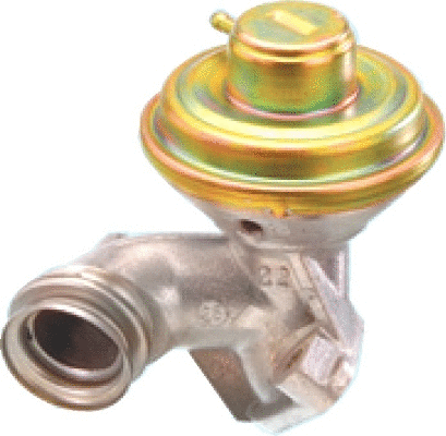 EGR Valve (WG1015226)