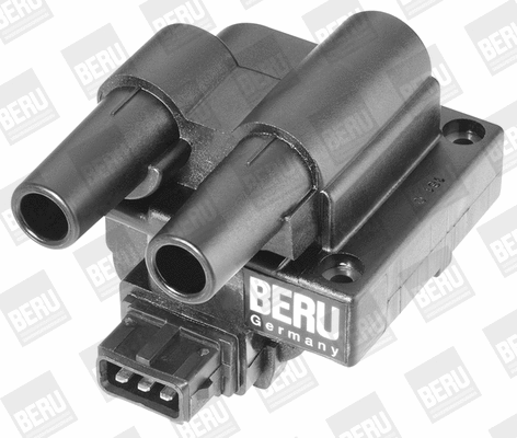 Ignition Coil (WG1487332)