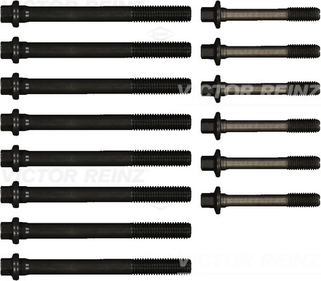 Cylinder Head Bolt Set (WG1242922)