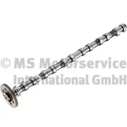 Camshaft (WG1924824)