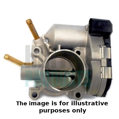 Throttle Body (WG1899281)
