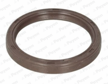 Shaft Seal, camshaft (WG1183274)
